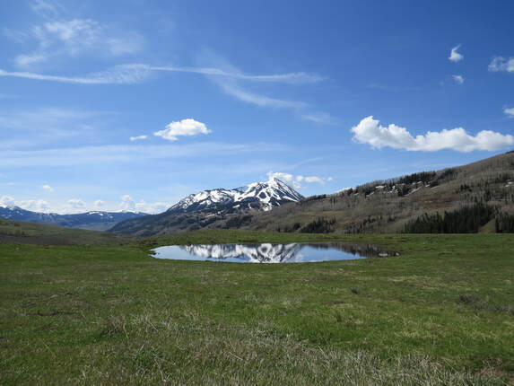 montane meadow with a pond and a mountain behind